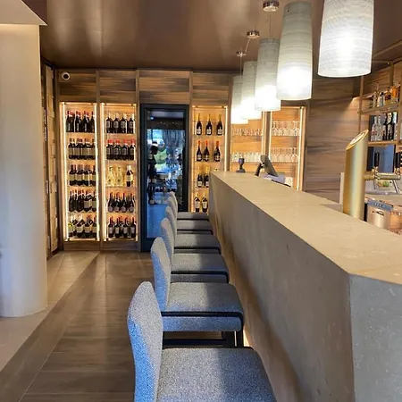 Alevic 酒店 西尔米奥奈