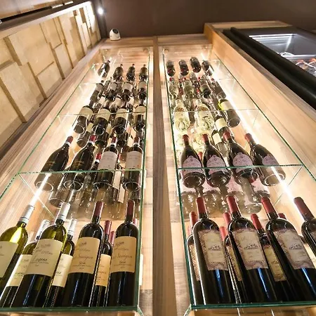 酒店 Alevic 西尔米奥奈
