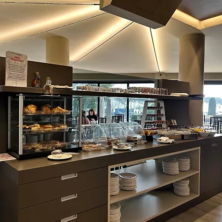 Alevic 酒店 西尔米奥奈